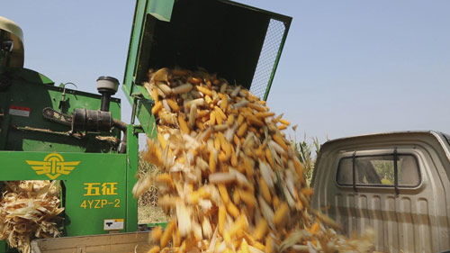 玉米收获机自动卸粮