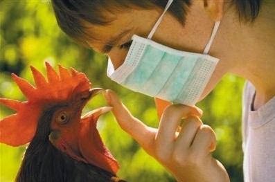 江西H10N8禽流感患者死亡 为全球首例