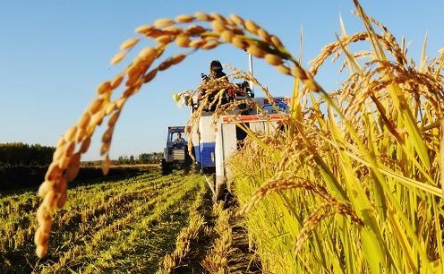 为全面深化改革提供坚实的粮食安全保障