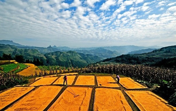 中财办:三类土地重点不同 农地流转不能一哄而上