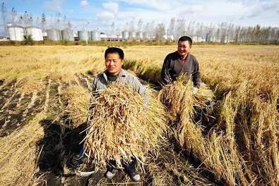 解读三中全会《决定》有关农村改革