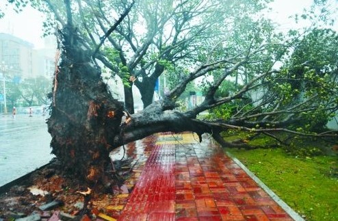 强台风海燕袭击海南 部分地区内涝严重