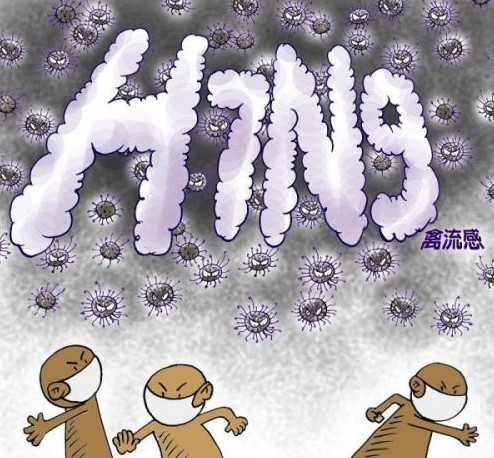 广东确诊一例H7N9  中国已经研制出疫苗