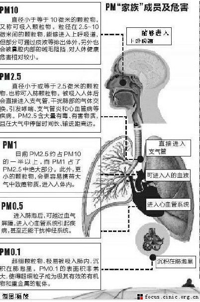 社科院称雾霾影响生殖能力 提高死亡率