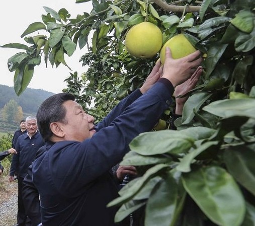 习近平赴湘西考察 强调扶贫切忌喊口号