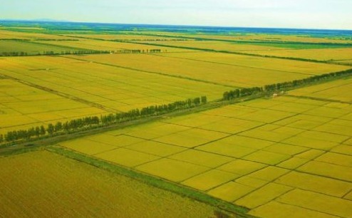 农业部：加快推进西部地区农业产业化发展