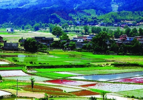 农村土地确权拉开新土改序幕 确权或年内完成