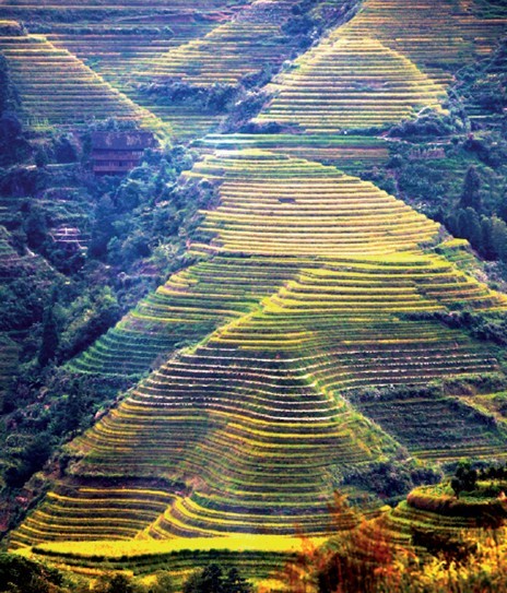 中国农业研究 为全世界农业发展提供探索