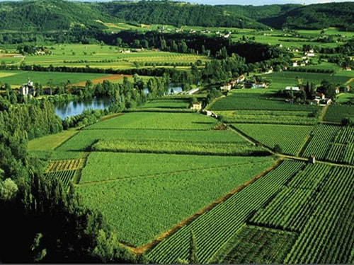 乌克兰将成中国最大海外农场 提供300万公顷农田