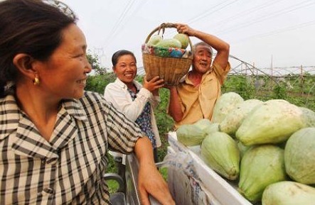 两部委发文规范农民合作社：1号文件曾连写10年