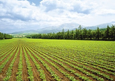 土地制度将迎大变革 重金修复污染耕地