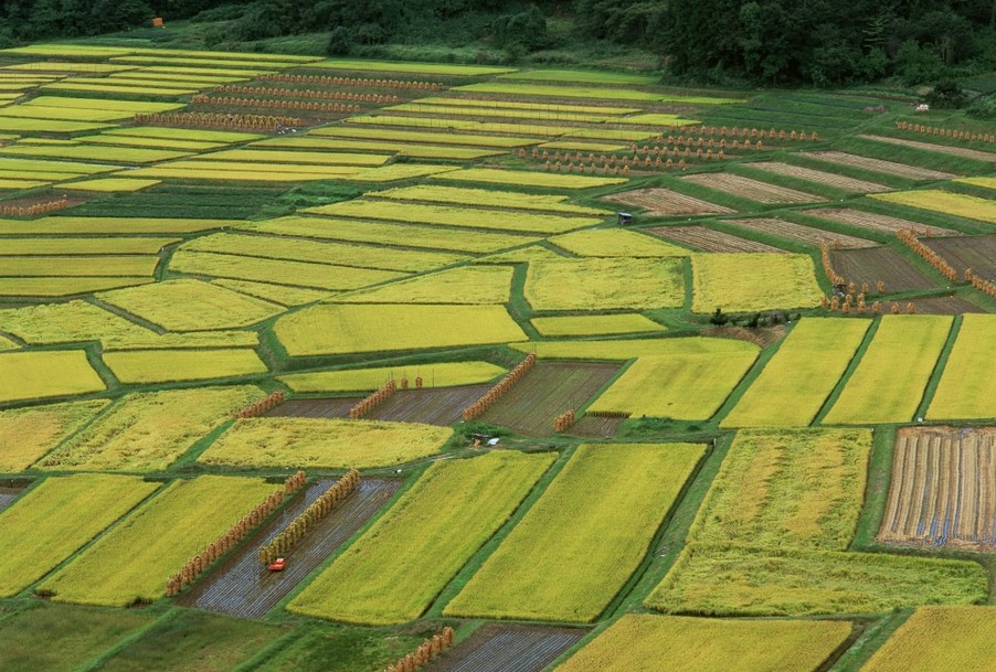 农田改造“藏粮于地” 推动转变农业发展方式