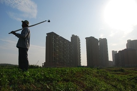 人地分离，农民出路何在？