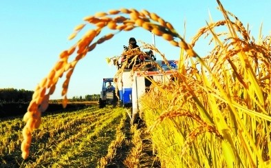 2014年粮食产量目标提高至11000亿斤以上