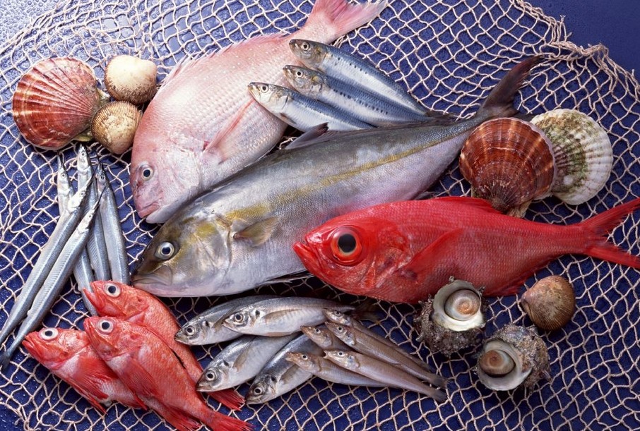 确保水产品质量成为我国渔业发展首要任务