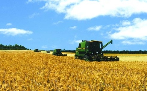 农业部组织开展高产模式示范提升行动