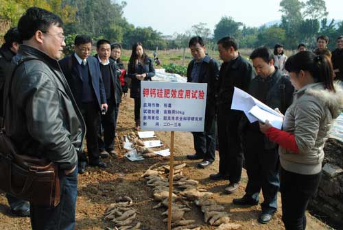 一边开展田间试验 一边筹划生产布局 钾钙硅肥产业化露端倪 调理土壤改善食物品质  