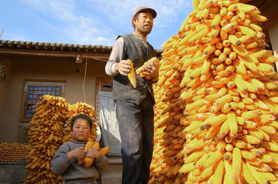 中国农民工资收入首超家庭经营纯收入