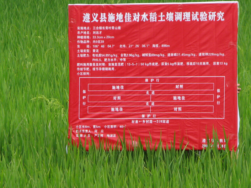 施地佳土壤改良剂在贵州遵义稻田试验
