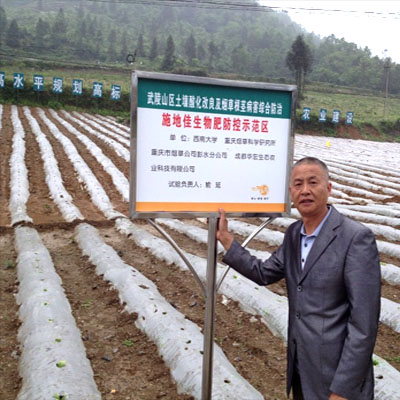 施地佳土壤调理剂在重庆烟草土改示范区