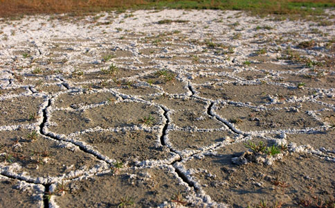 化肥使用量远超安全线 全国土壤盐渍化1.8亿亩