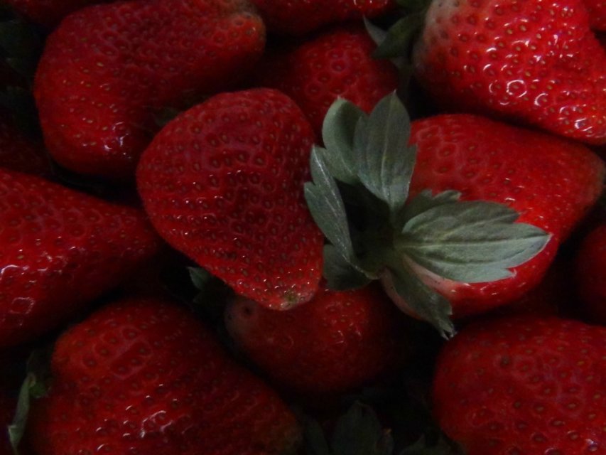 中科明星钾硅钙肥在河北省石家庄辛集市草莓试验