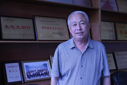探访“一村一品”大龙门村：有机板栗远销日本