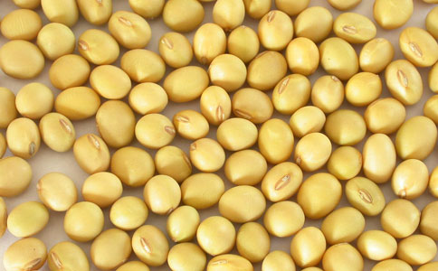 黑龙江非转基因大豆种植面积5年来首升