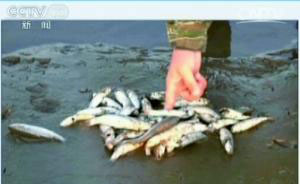 渤海湾养殖场滥用抗生素 近海物种几乎灭绝