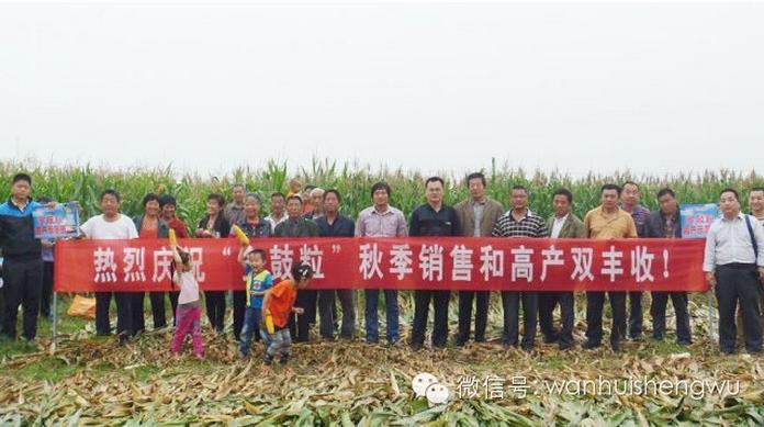  邯郸万惠生物科技农作物高产水溶制剂﹣多鼔粒™观摩展示会