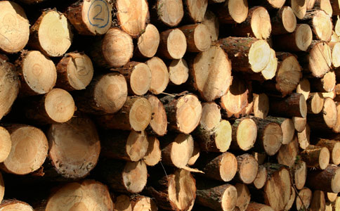 中国木材对外依存度超50% 加拿大欲抓商机