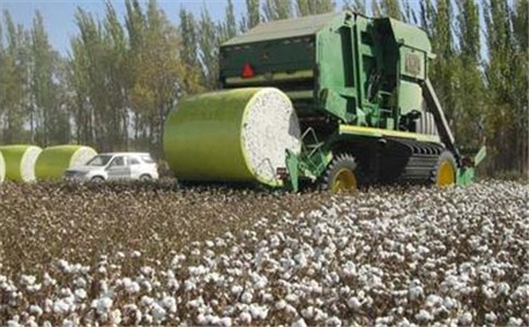 棉花是我国重要的经济作物之一，也是劳动密集型作物。