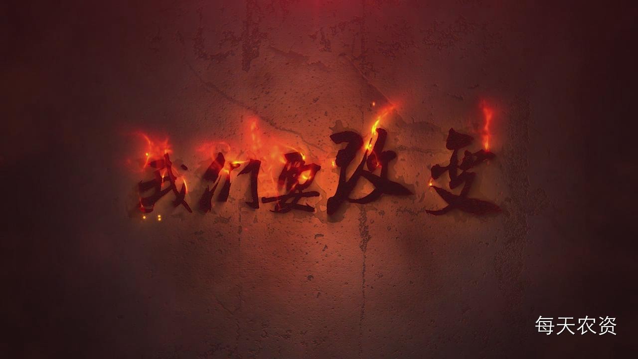 当梦想与到农资,我们应该如何取舍?
