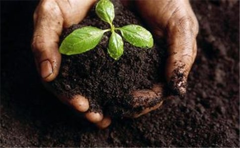 农资电商可能会对肥料行业发展进行洗牌，但是农资电商的发展也将促进肥料产品的回归。