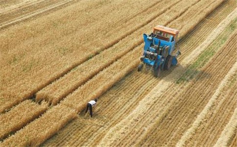 青岛市在今年5月份率先在全市26个粮食流通企业中开展了库存粮食识别代码试点，