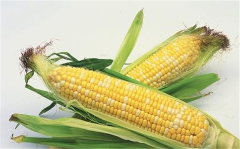 MIR162转基因玉米是瑞士种子和化学品生产商先正达研发的产品。