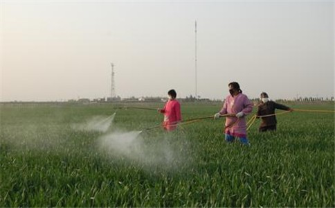腐植酸水溶肥是一种新型肥料，也是一种多功能肥料。
