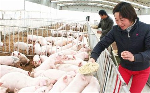 农业血防综合治理有序推进， 工作机制逐步完善，经济效益与生态效益日益凸显，农业血防工作取得显著成效。