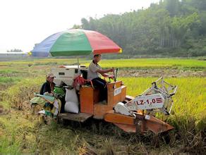 河北省代表委员建言献策让种地成职业让农民有职称.jpg