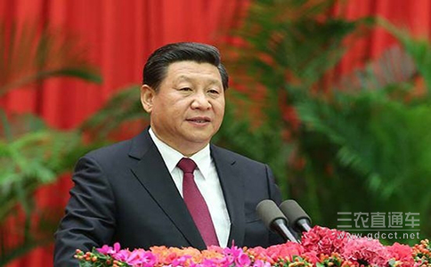 习近平：确保党中央各项决策落地生根