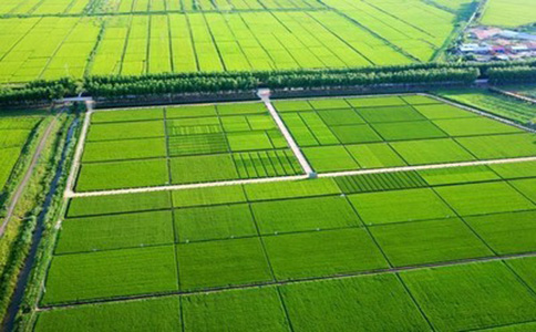 国务院:到2020年建成集中连片旱涝保收的8亿亩高标准农田