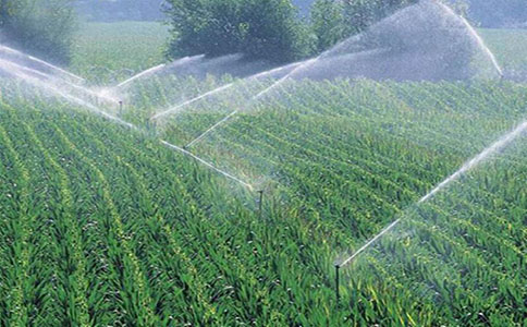 农业水价综合改革如何改