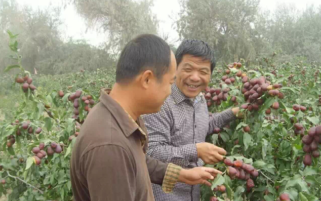 让农民走出传统农业死胡同