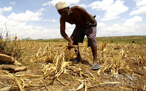二十国集团农业部长呼吁应对粮食安全挑战