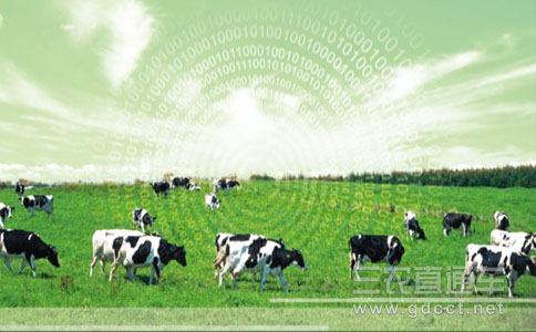 以“互联网+农业”为驱动 打造我国现代农业升级版