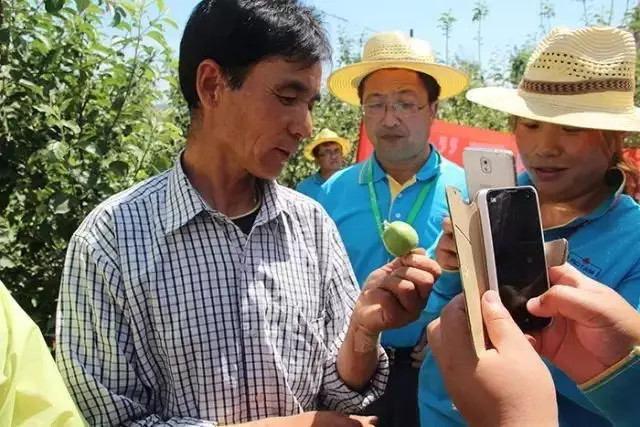 龙灯：好方案助力农民增产增收