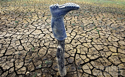 云南楚雄地区再次遭遇干旱 人畜饮水已困难