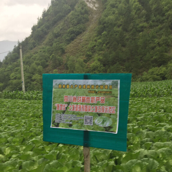 成都华宏生物一行前往四川理县视察蔬菜试验示范地