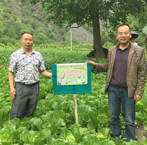 成都华宏生物一行前往四川理县视察蔬菜试验示范地