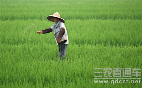复合肥增值税9月开征